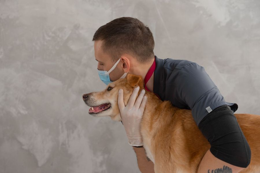 A veterinarian hugging a dog during a checkup